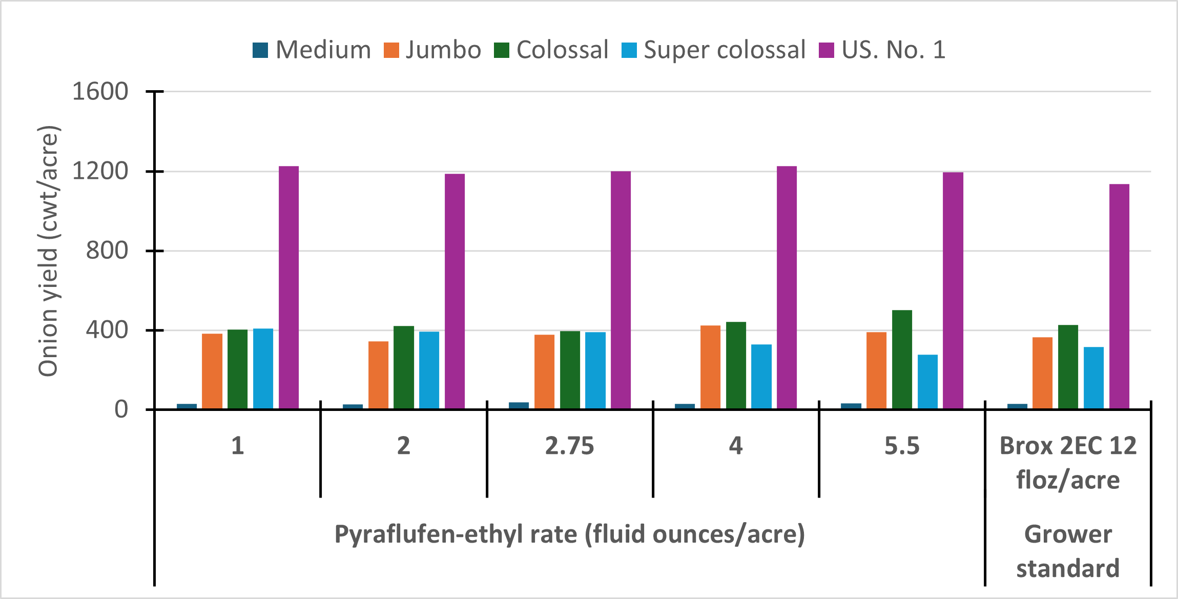 Bar chart of onion yield in response to pyraflufen-ethyl herbicide applied at various rates to plants at 2-3 leaf stage at Malheur Experiment Station-Oregon State University, 2024. There was no significant difference across herbicide treatments.