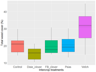 Total weed percentage cover in winter wheat growing with different intercrops and without intercrop (control) in Adams, OR in the 2023-2024 season. Boxes indicate the distribution of 50% of the data, and the black solid line and the dashed line inside the boxes indicate the median and mean of the data, respectively. Full results of this study can be found in the article.