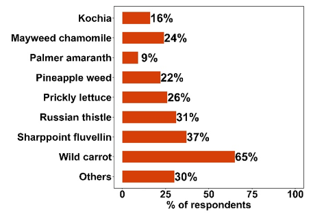 Bar chart of responses. Results are described in article text.