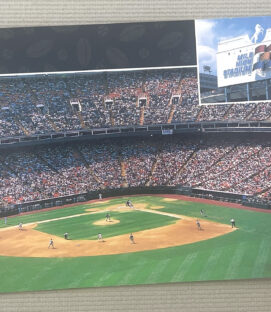 Mile High Stadium Rockies Postcard