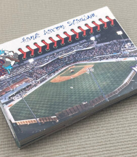 Mobile Bay Bears 1997 Card Set