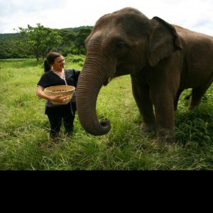 A Halo & Horns Customer