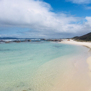 A BlockBlueLight Customer