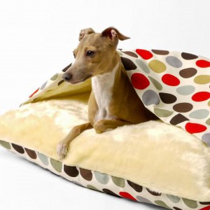 A Suzy's Dog Fashion - Since 1954 Customer