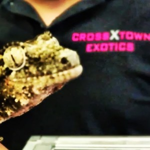 A Skulls Unlimited International, Inc. Customer