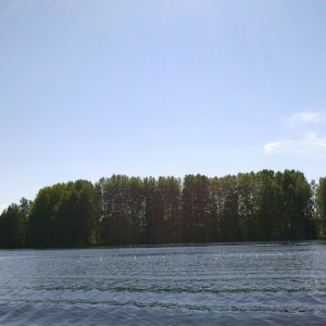 A Samaskoru.fi Customer