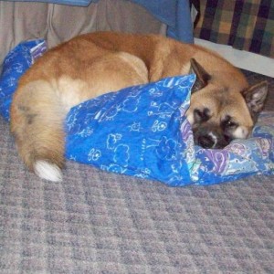A Dinkydoo Fabrics Customer