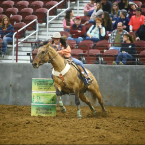 A Draw Liniment Customer