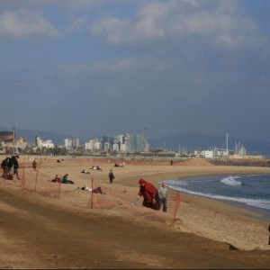 A LAUT Europe Customer