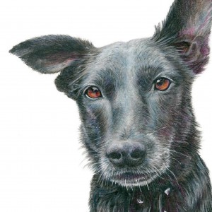 A Ann Kullberg Customer