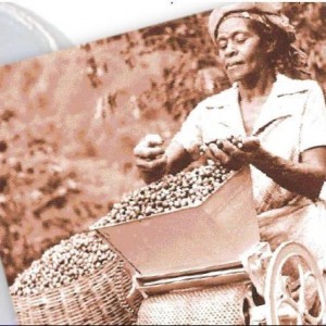 A bonsaii-shop Customer