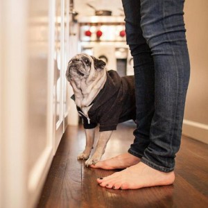 A Swoveralls Customer
