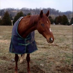 A Lakota Made Customer