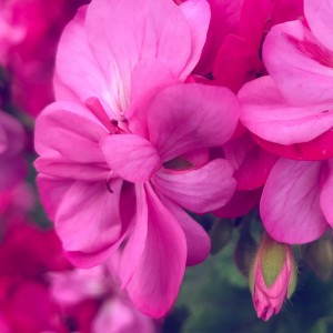 A Ultra Violette Customer