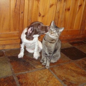 A Rufus & Coco Australia Customer