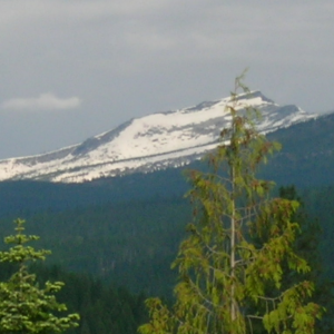 A Idahoan Customer