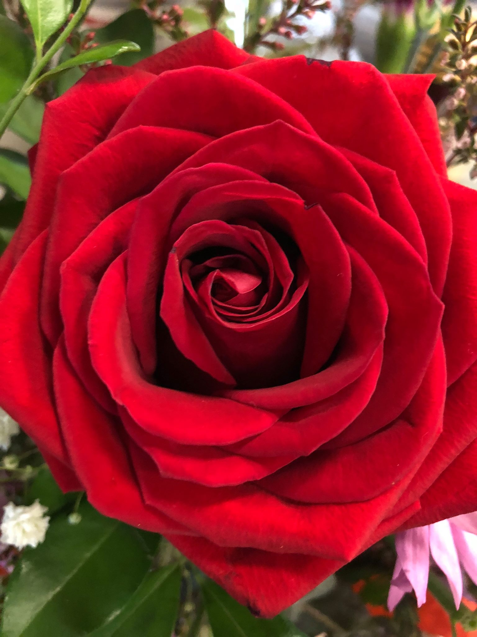 A BlockBlueLight Customer