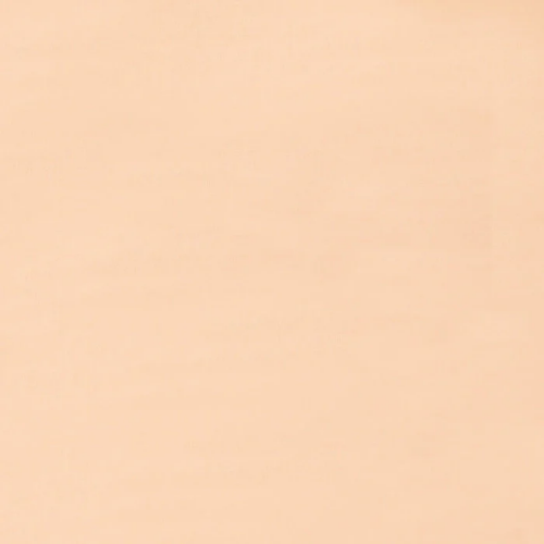 PINTURA AL FRIO BLACKCOLOR PIEL