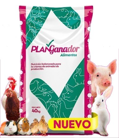 Engorde cerdo  concentrado plan ganador 40kg