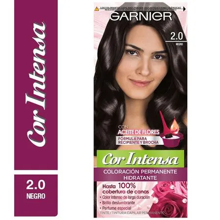 GARNIER 2.0 NEGRO
