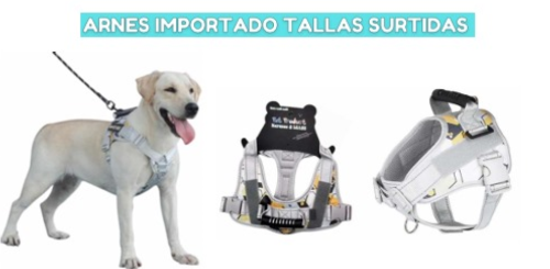 ARNES IMPORTADO TALLA M COD. 2935