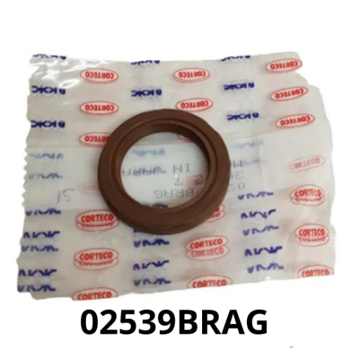 02539BRAG ESTOPERA LEVA FIAT PALIO SIENA FORZA 1.4 8V FIRE