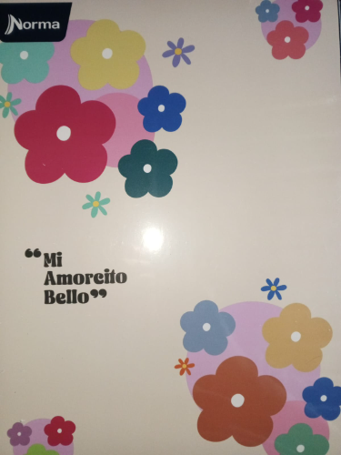 CUADERNO NORMA AND UNIV 100 1L