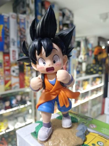 GOKU NIÑO