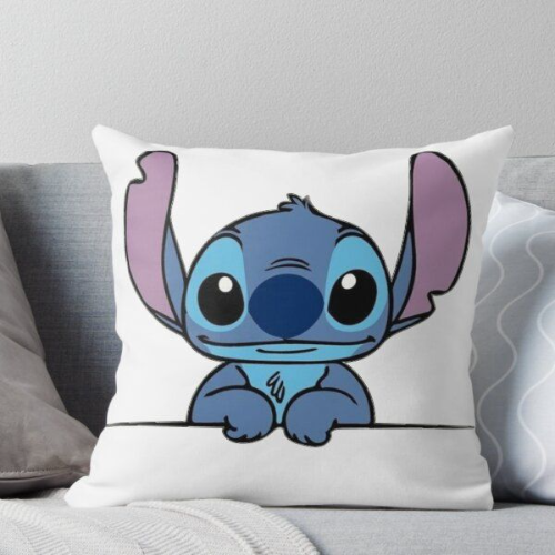 Cojines personalizados