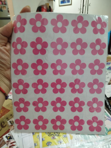 765f PLANCHa MINI FLORCITAS