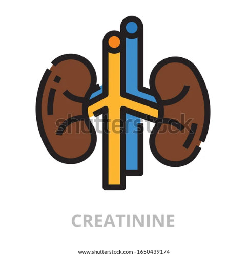 Creatinina