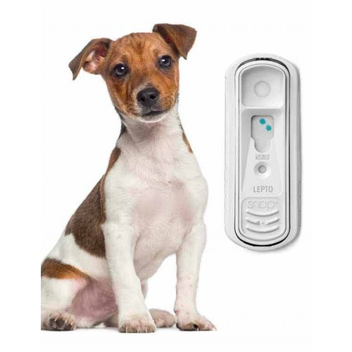 Prueba Parvovirus