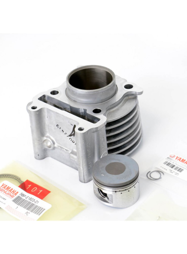 KIT DE CILINDRO Y PISTON BWS