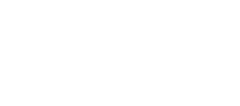 Alternative Logo