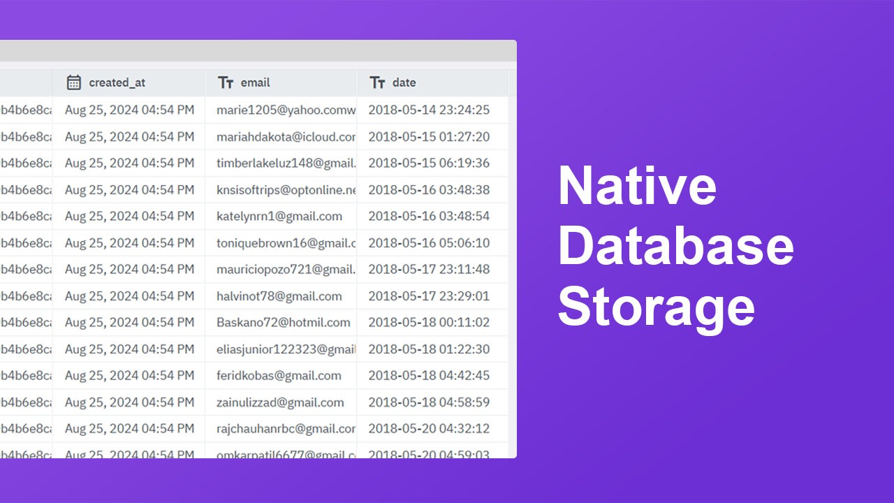 Native Database Storage