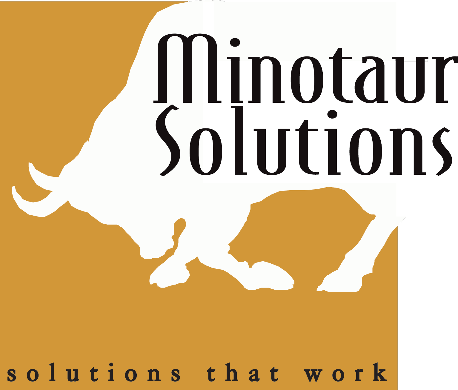 Minotaur Solutions BV