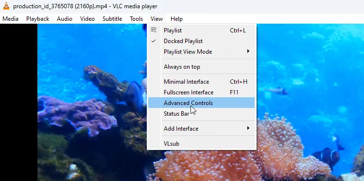 VLC Advanced Controls