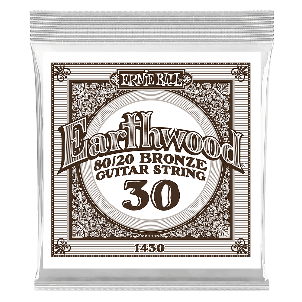 .030 Earthwood 80/20 Bronze Akustik-Gitarrensaite 6er Pack Front