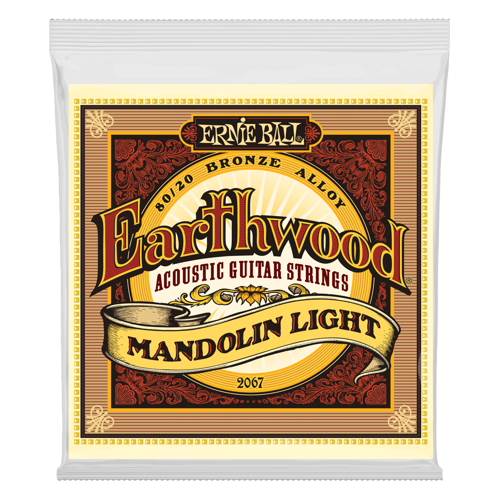 Cordes de guitare acoustique  Earthwood Mandolin Light Loop End 80/20 Bronze   Front