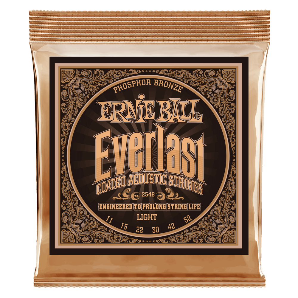 Corde per Chitarra Acustica Everlast Light Coated Phosphor Bronze Front