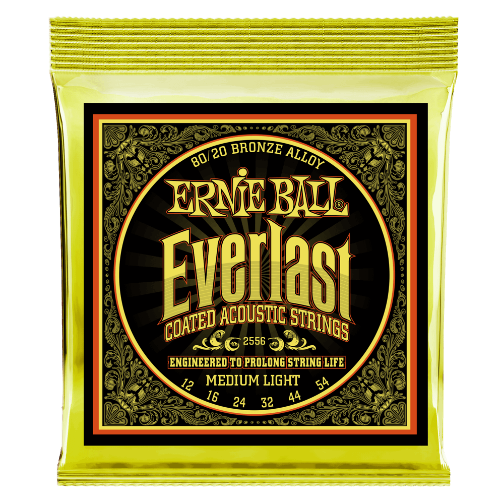 Cordes de guitare acoustique Everlast Medium Light Coated 80/20 Bronze   Front