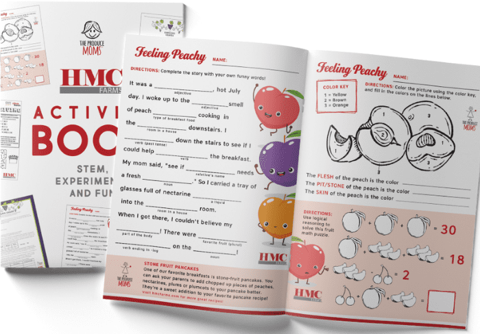 Image of digital E-book cover and peek inside of peach activity sheet