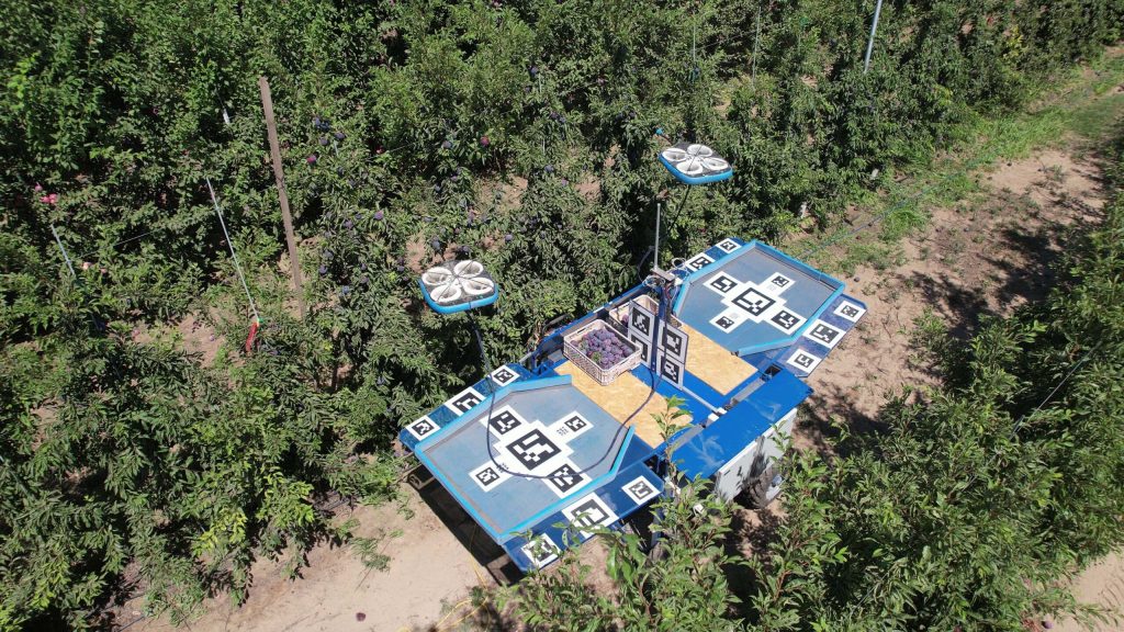 Platform with two drones in the middle of an orchard full of trees