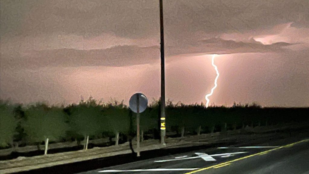 Road and telephone pole in front of an orchard of trees, lightning bold in the background