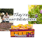 HMC_Plums_Hero-Banner_2x