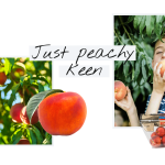 HMC_Peach_Hero-Banner_2x