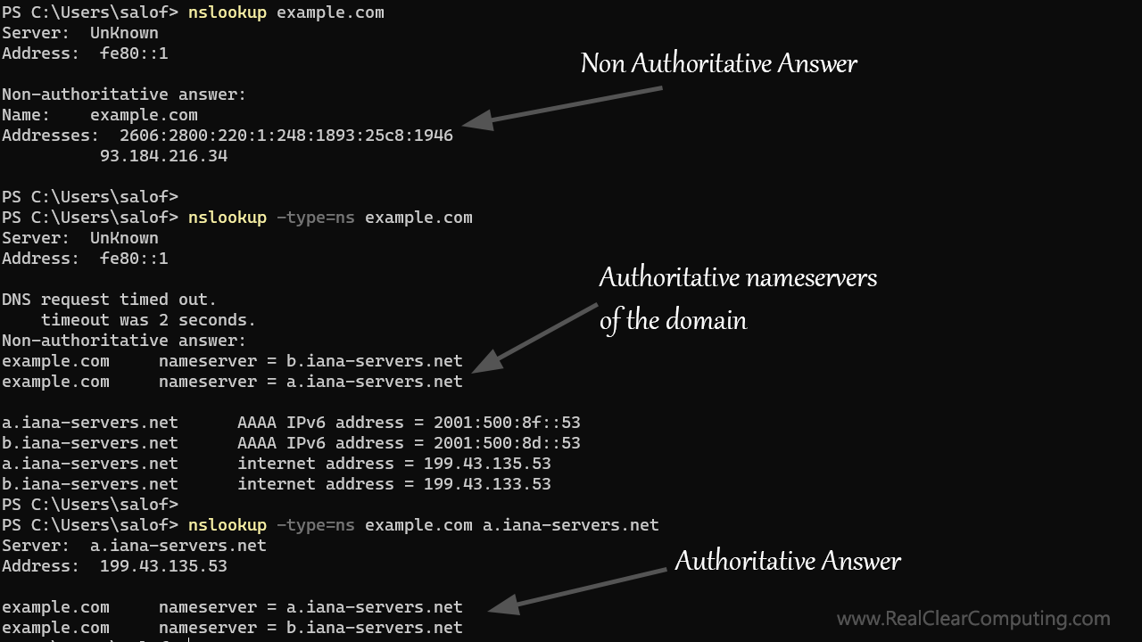 Check DNS Records for a Domain