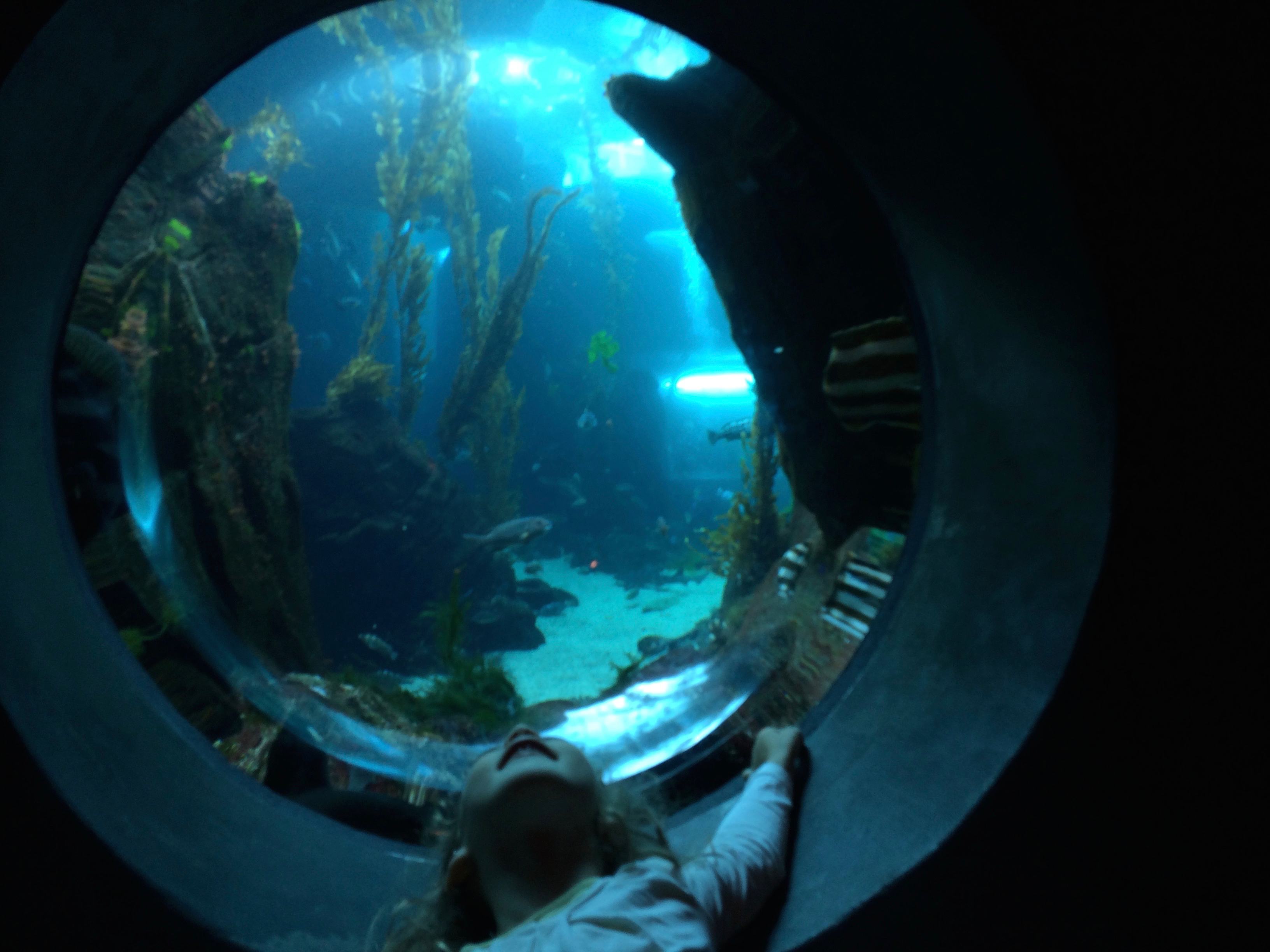 things-to-do-in-la-with-kids-1