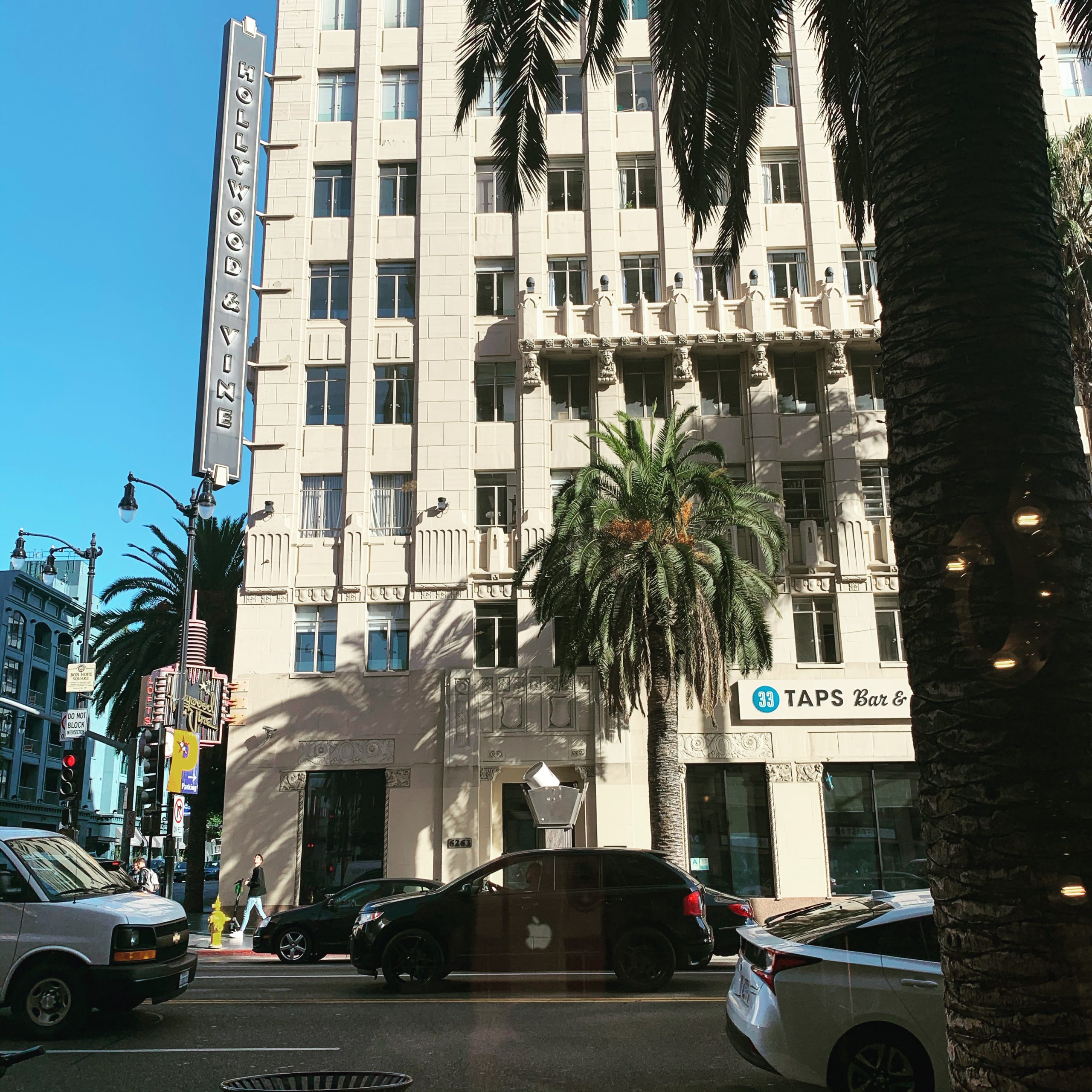 hollywood and vine tour
