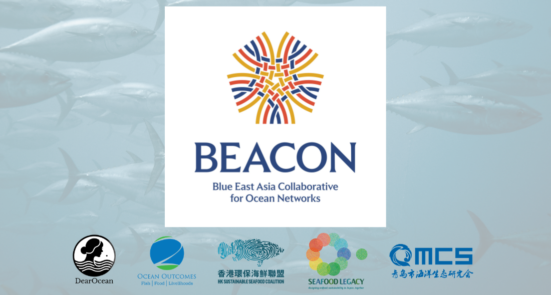 Five Organizations Launch New Network to Accelerate Seafood Sustainability Across East Asia
